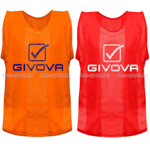 Манишка спортивная Givova L (46-52) синяя CT01