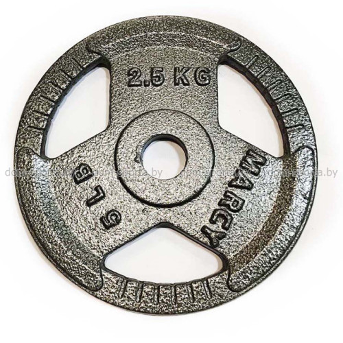 Диск окрашенный d=26 мм 2,5 кг K3-2,5kg Диск окрашенный d=26 мм 2,5 кг K3-2,5kg