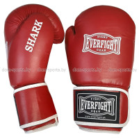 Перчатки боксерские EVERFIGHT SHARK EGB-522 (10,12)