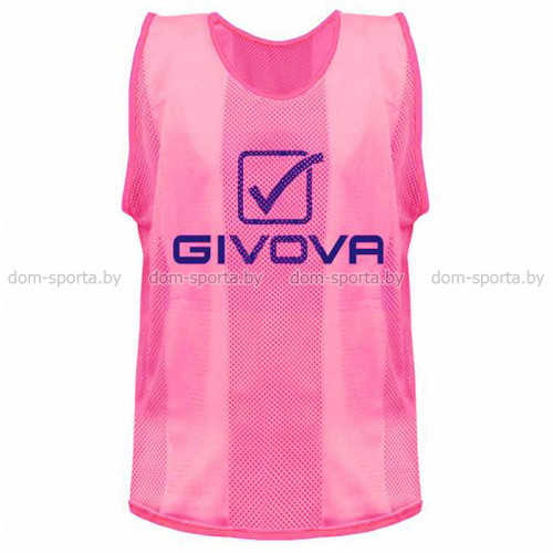 Манишка спортивная Givova L (46-52) розовая CT01