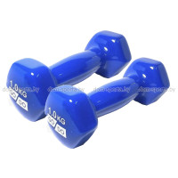 Гантели виниловые 1 кг Go Do GODO-31552