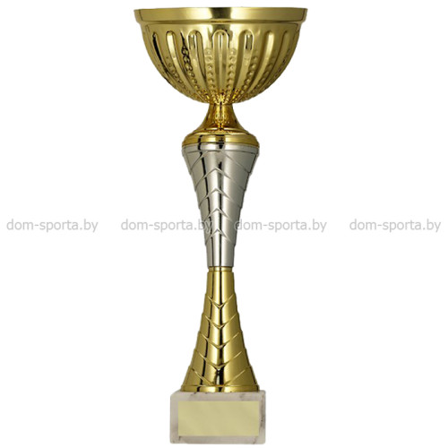 Кубок Tryumf 9271