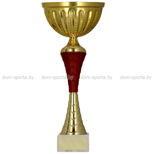 Кубок Tryumf 9272