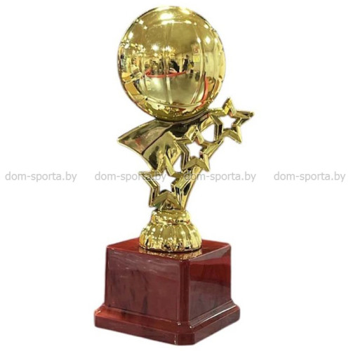 Кубок Y24-667-130-2 Волейбол