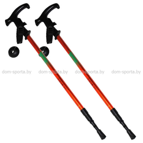 Палка-трость для скандинавской ходьбы ZEZ Sport  65-135см DS2