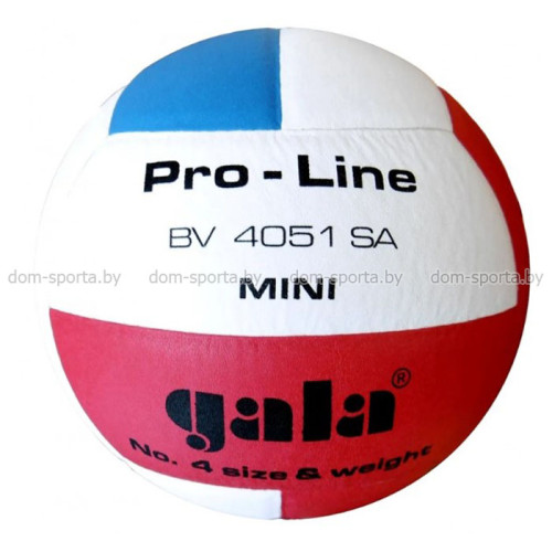 Мяч волейбольный Gala Pro-Line Mini №4 BV4051SA тренировочный Мяч волейбольный Gala Pro-Line Mini №4 BV4051SA тренировочный