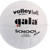 Мяч волейбольный Gala School Foam White BV5031S тренировочный