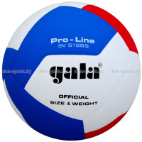 Мяч волейбольный Gala PRO-LINE BV5125S матчевый