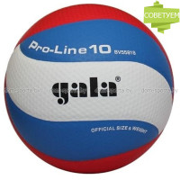 Мяч волейбольный Gala PRO-LINE 10 BV5581SA матчевый
