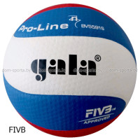 Мяч волейбольный Gala PRO-LINE FIVB BV5591SA матчевый