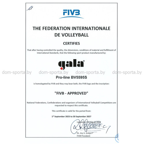Мяч волейбольный Gala PRO-LINE BV5595S FIVB матчевый