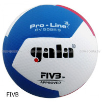 Мяч волейбольный Gala Pro-line BV5595S FIVB матчевый